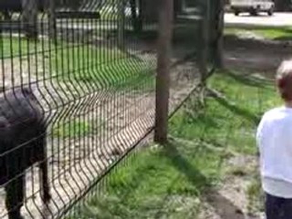 Petite Louise à la ferme 2