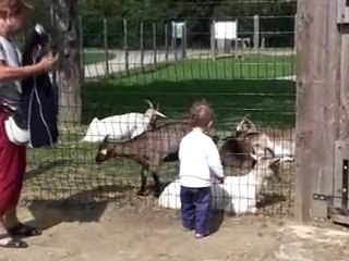 Petite Louise à la ferme 3