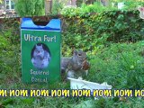 Squirrel Cereal!- Ultra Fur