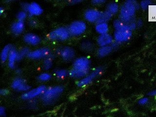 L'autre au cœur de l'identité biologique