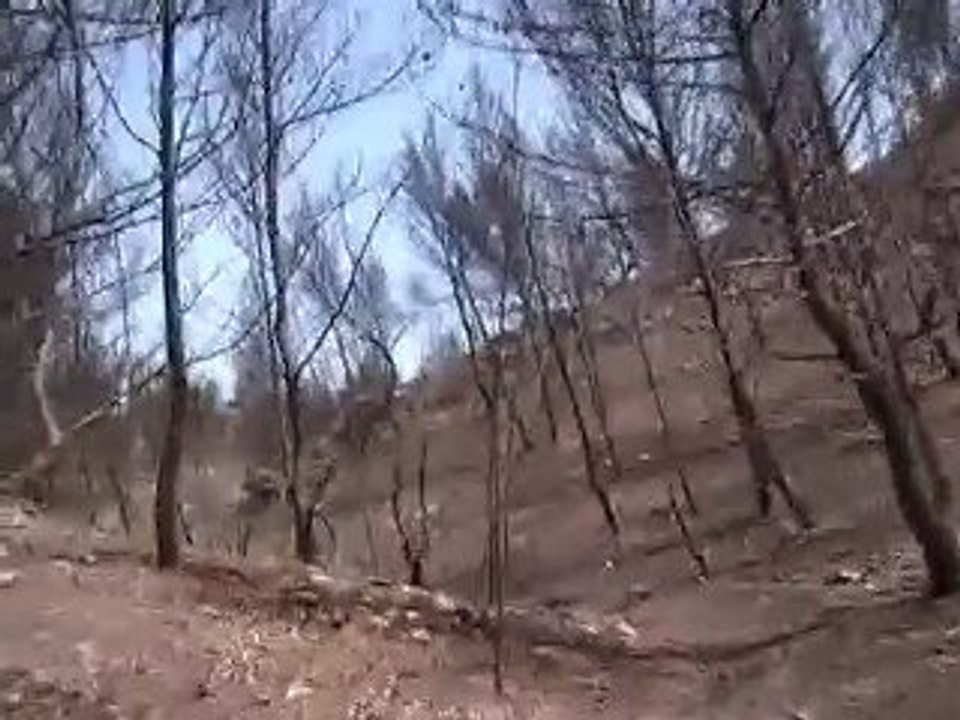 incendie, Sausset, Carry