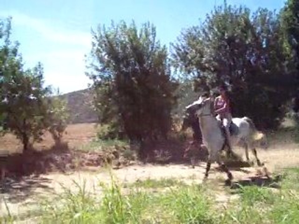 Vico et CRI Nem et Saxo dans le champ au galop