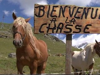 Chalet d'Alpages "La Chasse"