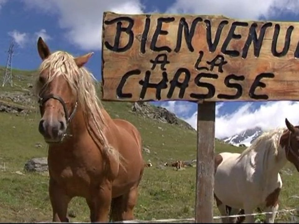 Chalet d'Alpages "La Chasse"