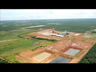 Indonésie: Greenpeace accuse un géant de l'huile de palme