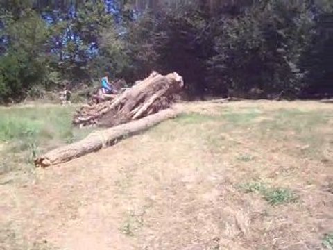 saut du tronc avec les dada