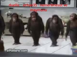 yumos muro ekibiyle