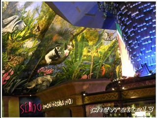 Sun city ou Las Vegas