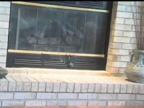 Heli-Max™ Novus™ UH-1D Huey™ Nano-Sized EP Heli RTF