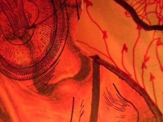 Bela lugosi's dead - le cri