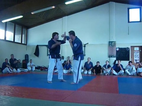 fin de stage d'été du toreikan budo (1)
