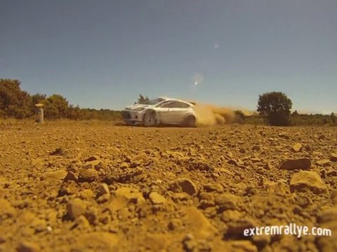 Test Fiesta WRC (Henning)