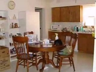 Homes for Sale - 1040 Sievert St - Porter, IN 46304 - Coldwe