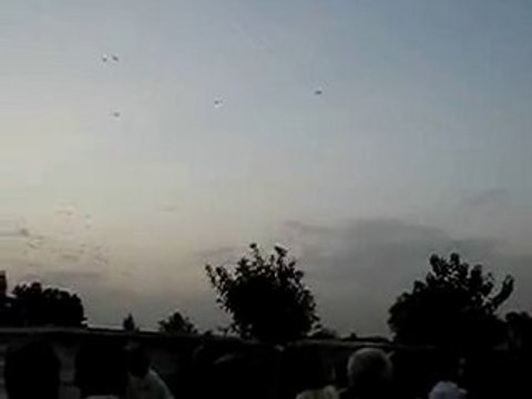 kafkar kuş döküşü guvercinrehberi.com