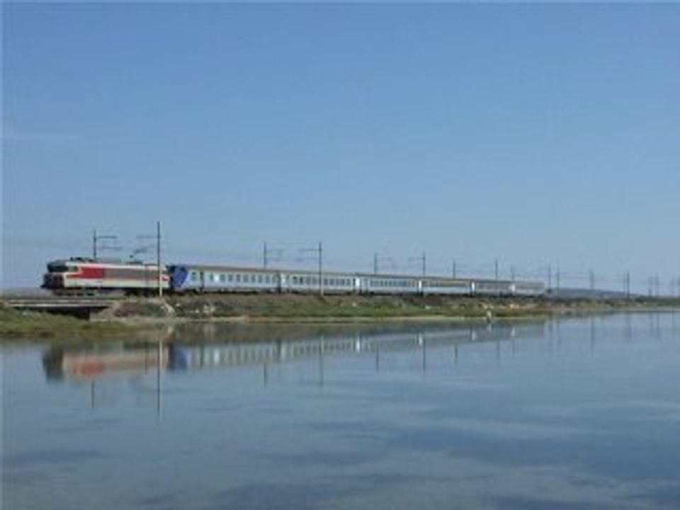 6570 dans les étangs