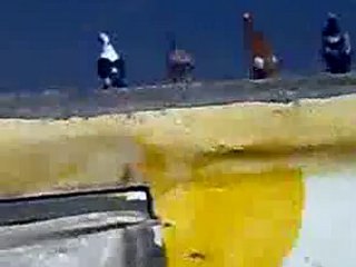 suriye karışma kuşları www.guvercinrehberi.com