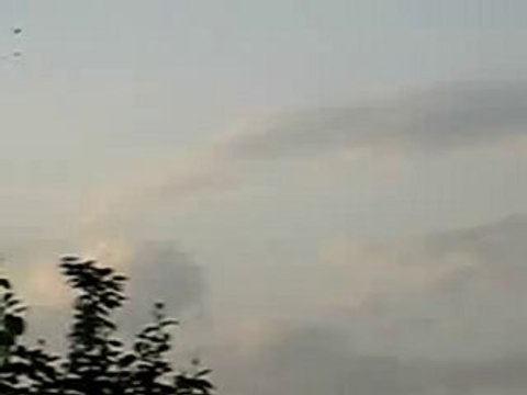 kafkar kuş döküşü 2 guvercinrehberi.com