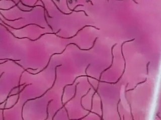 Sailor Moon R The Movie - Attack