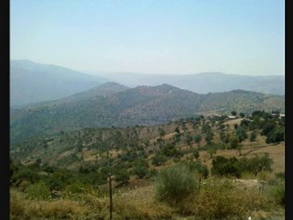 AHMED BRAYDJI  ETE 2010