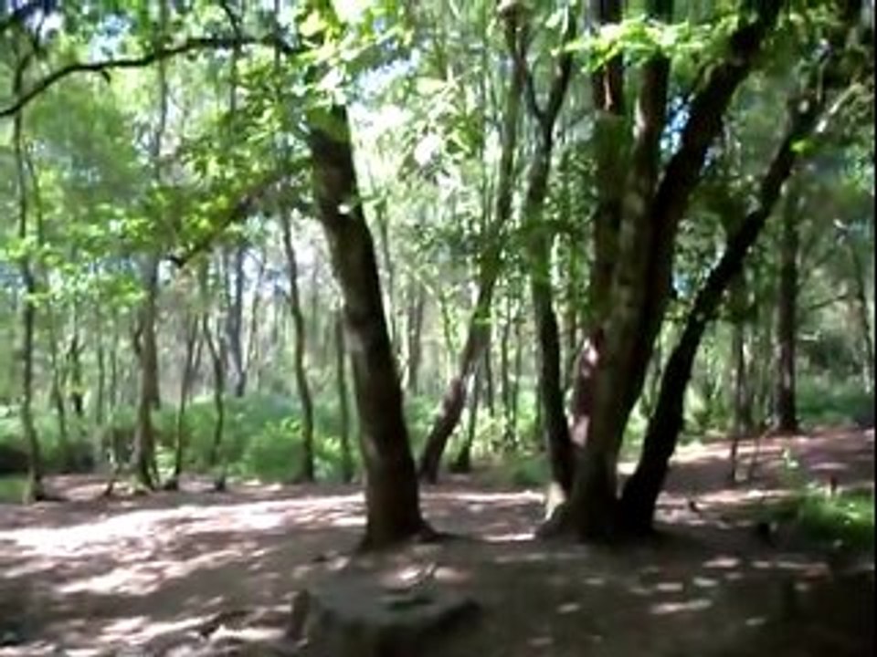 BROCELIANDE - fontaine de barenton