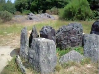 BROCELIANDE - hotie de viviane