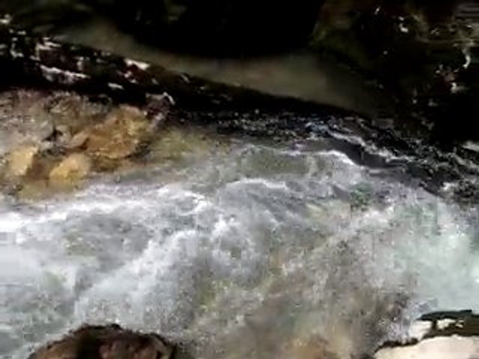 video-2010-07-30-12-44-37