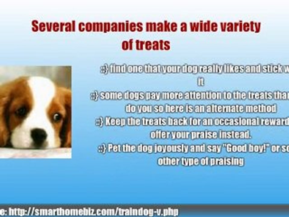Dog Training