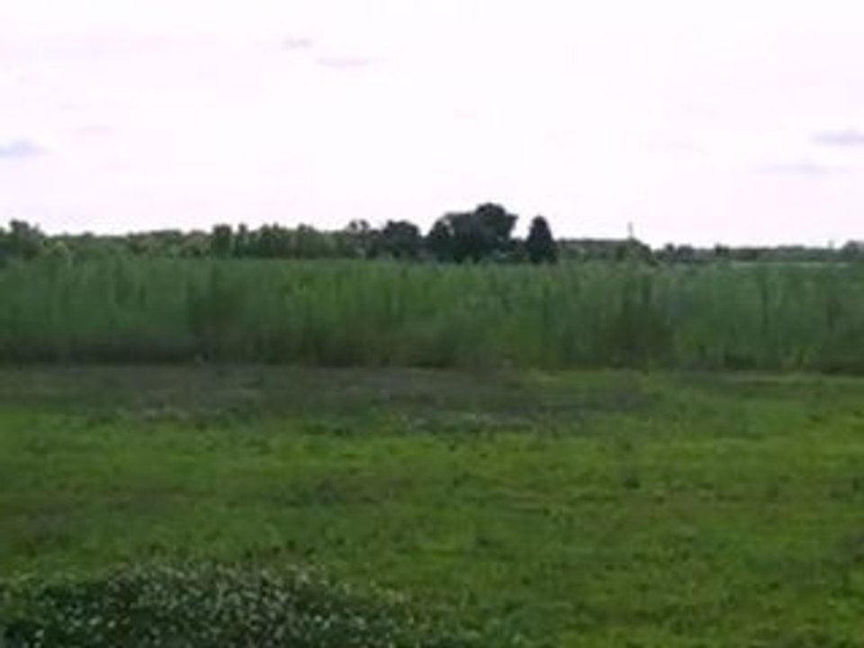 Homes for Sale - 0 Grove St - Wheatfield, IN 46392 - Coldwel