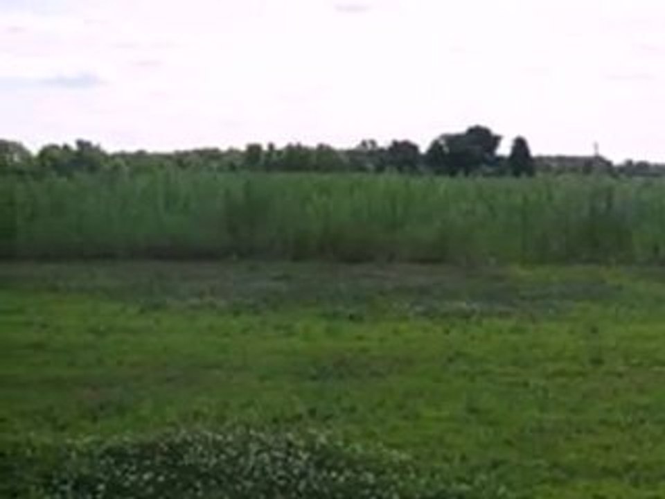 Homes for Sale - 0 W Central Ave - Wheatfield, IN 46392 - Co