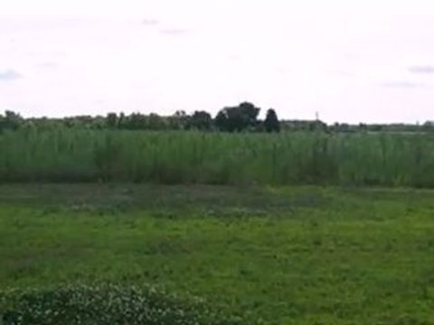 Homes for Sale - 0 Meadow Ln - Wheatfield, IN 46392 - Coldwe