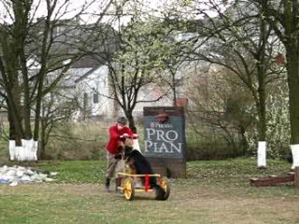 Apprentissage chariot Joe