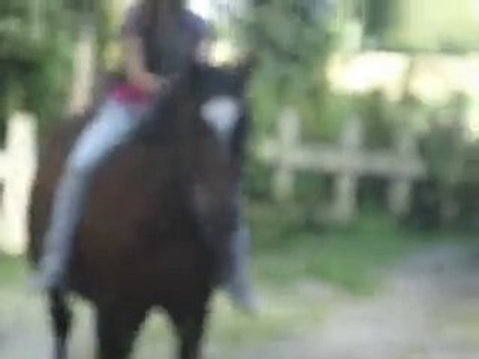 perle & moi entrain de sauter a crue 60 cm