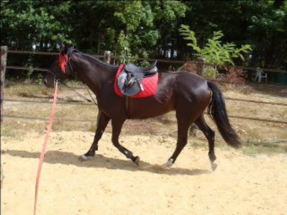 Travail longé puis monté avec Paris 29.07.10