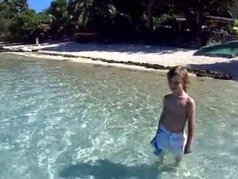 Polynésie française - Ile de Moorea