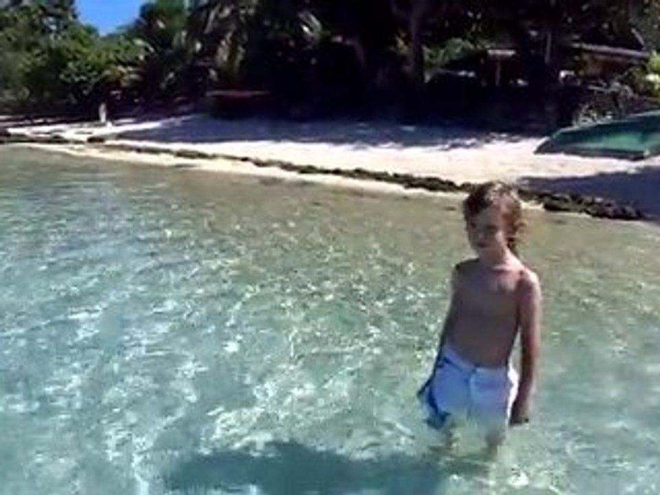 Polynésie française - Ile de Moorea