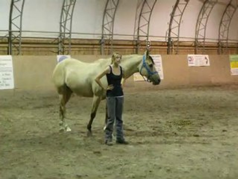 écurie1