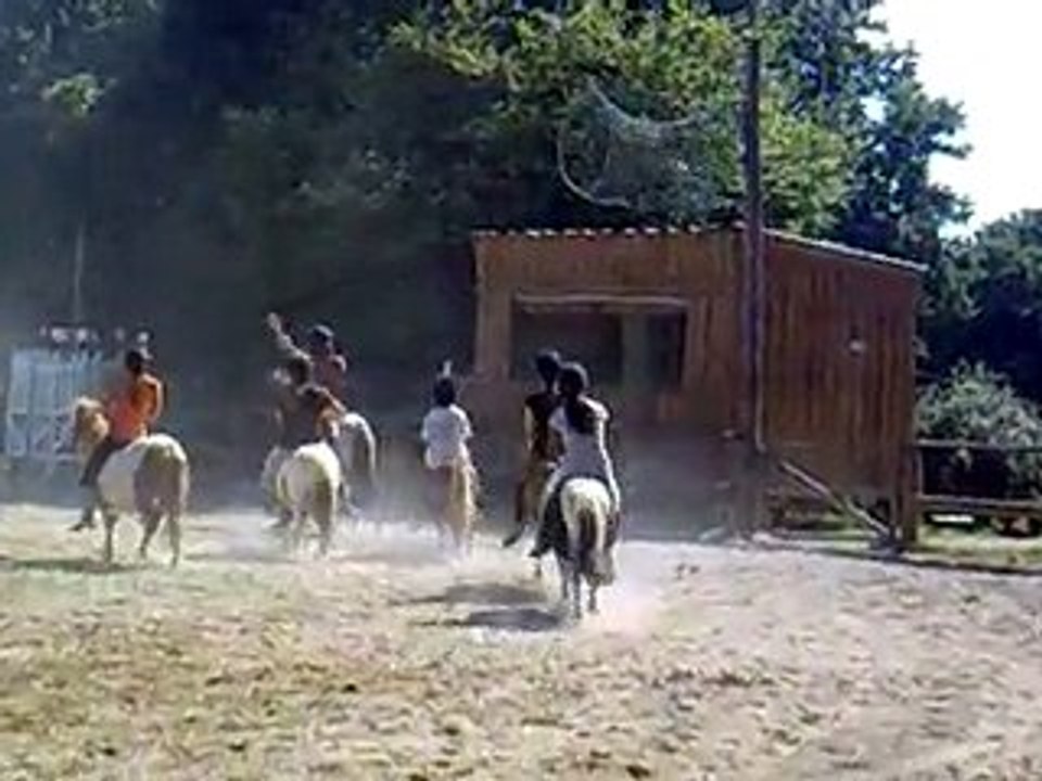 horse ball2