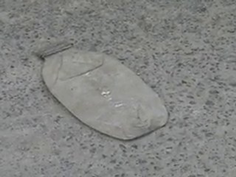 Lifeinaday par Nicole Sénécal