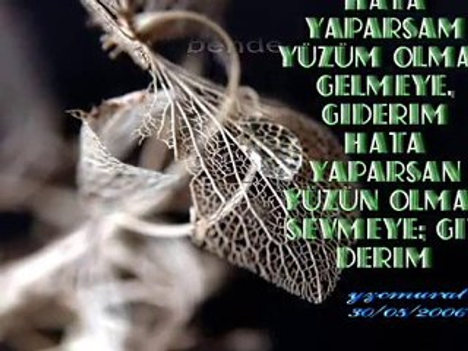 GhosT RaideR Yaban GüLüM'e ÖzeL