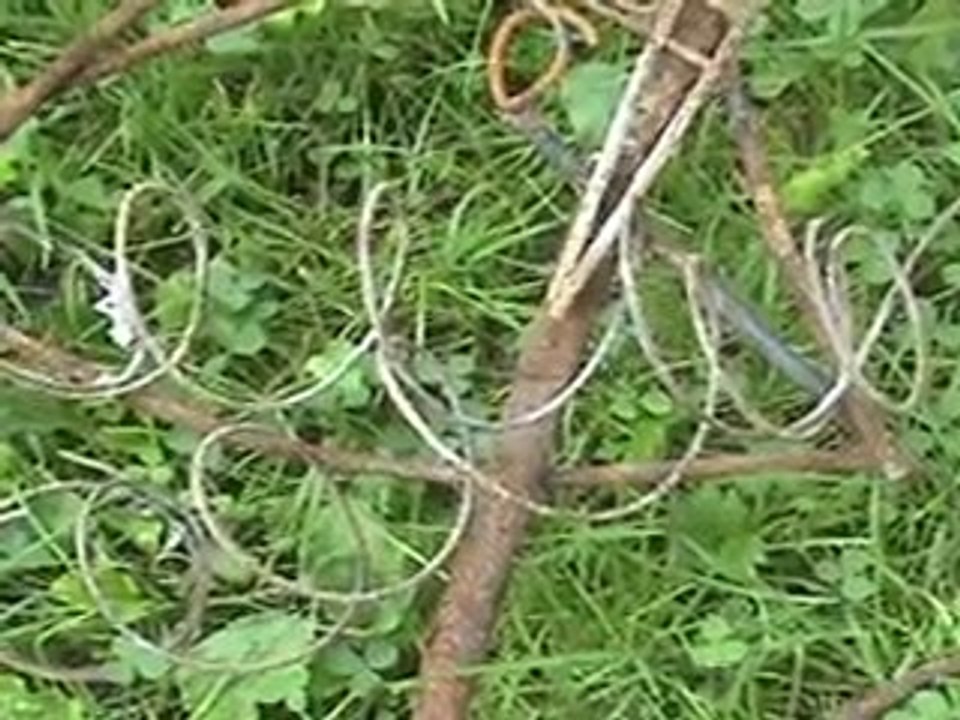 10072966 Life in a day par N.  Sénécal