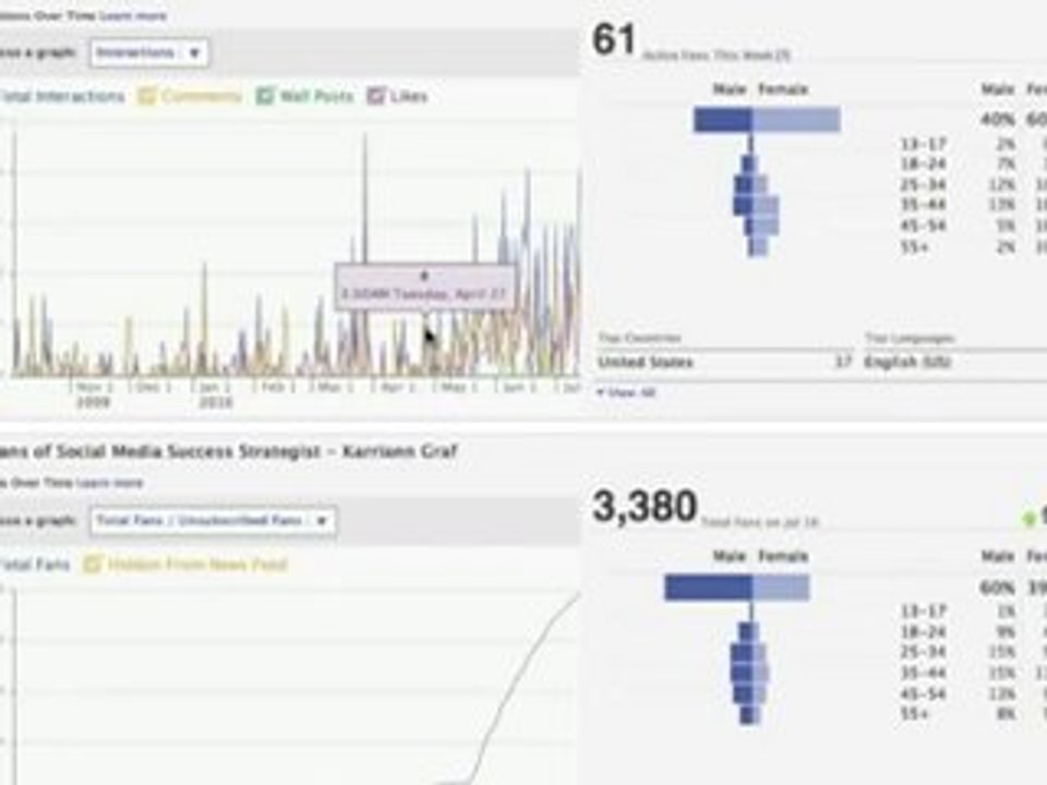 Facebook Like (fan) Page Insights Area