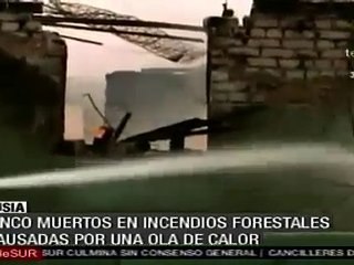 Cinco muertos por incendios forestales en Rusia