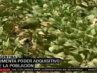Aumenta poder adquisitivo de a población en Argentina