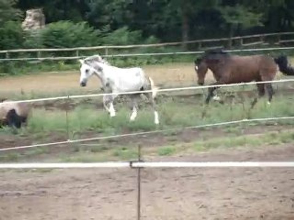 Idilio Des Prés et Pauline