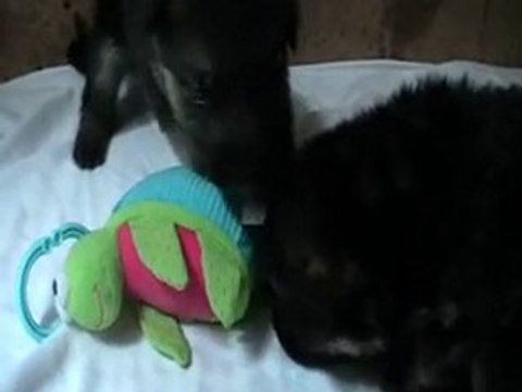 bebes chiara 28 juillet 2010