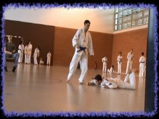 Coupe des clubs taekwondo Bordeaux