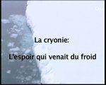 La cryonie - L'espoir qui venait du froid (1)