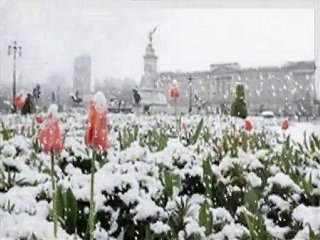 uçup gittin buralardan özhan eren