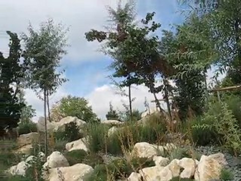 Terra Botanica : jardin de garrigue