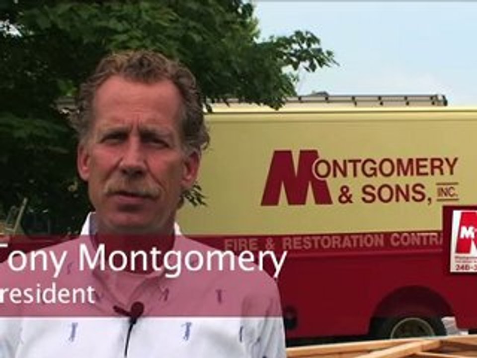 iMultimedia Services Business Overview